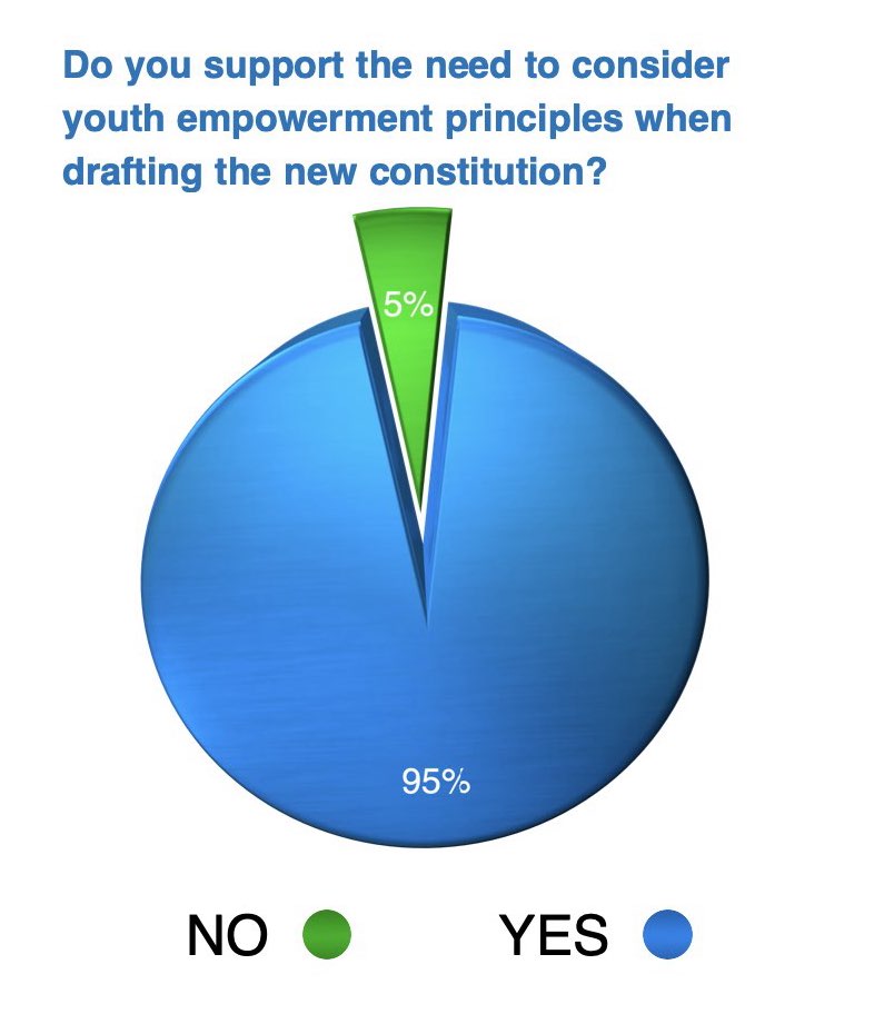 Do you support the need to consider youth empowerment principles when drafting the new constitution?